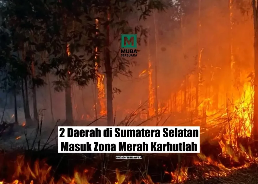 2 Daerah di Sumatera Selatan Masuk Zona Merah Karhutlah