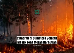 2 Daerah di Sumatera Selatan Masuk Zona Merah Karhutlah